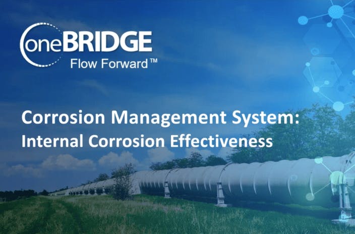 Corrosion Management System: Internal Control Effectiveness