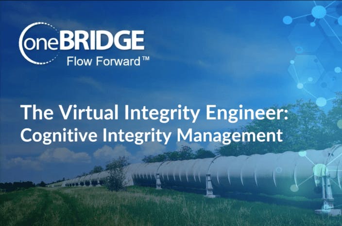 The Virtual Integrity Engineer – Cognitive Integrity Management